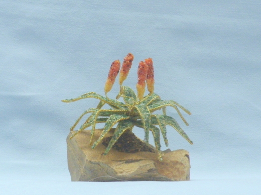 Aloe (± 12 cm) mit Jaspis und Bergkristall